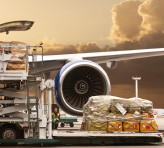 Airline Freight Recovery Professional Services, JFK, NY | Trans Air International Air Cargo Inc. | Office: 718.553.6800, Dispatch@Transairinternational.com - Image